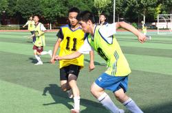 开云APP-体育圈热议足球盛事，赛场精彩纷呈