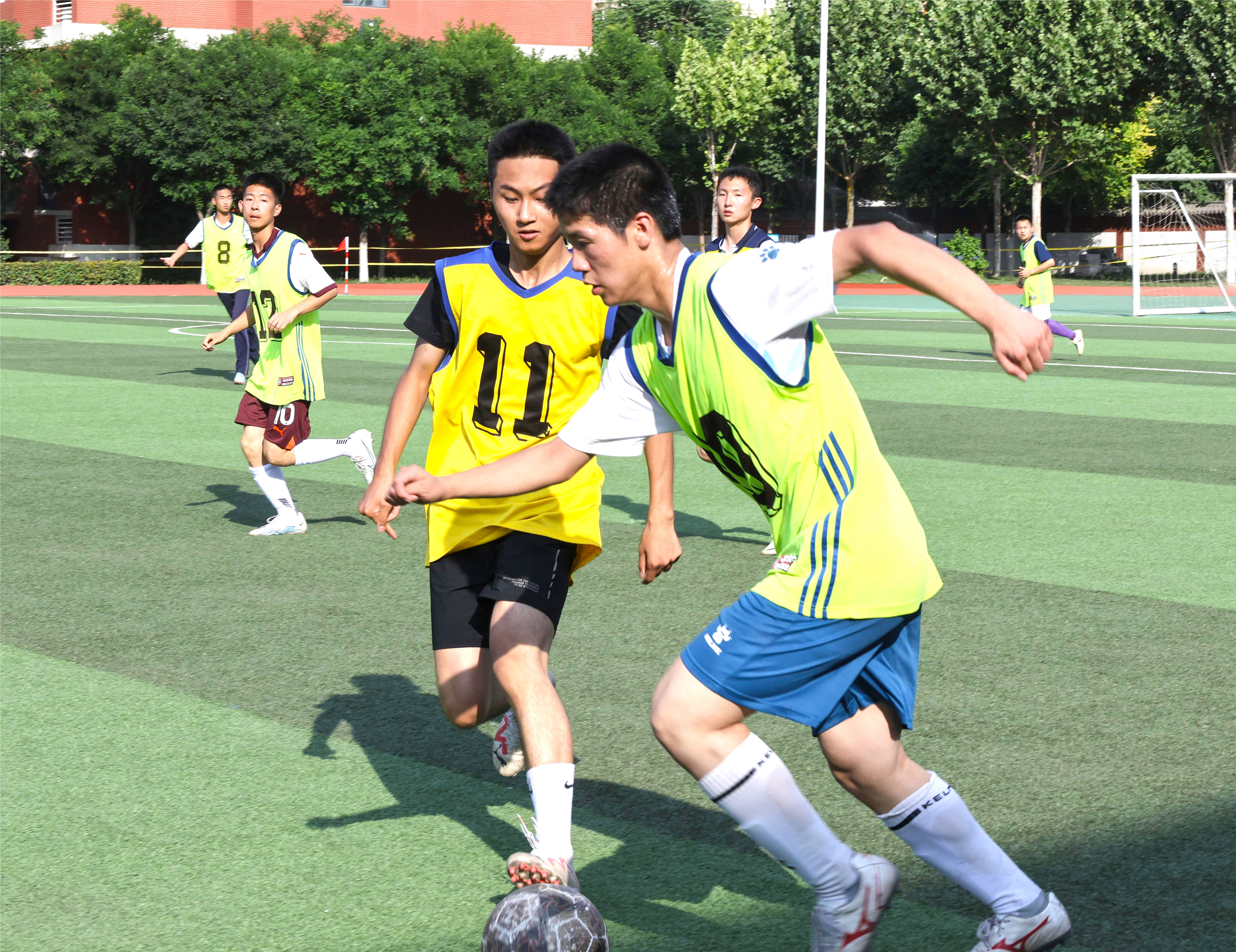 体育圈热议足球盛事，赛场精彩纷呈