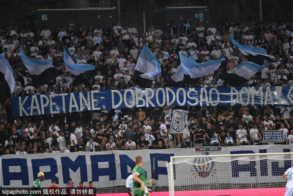 体育圈热议足球盛事，赛场精彩纷呈