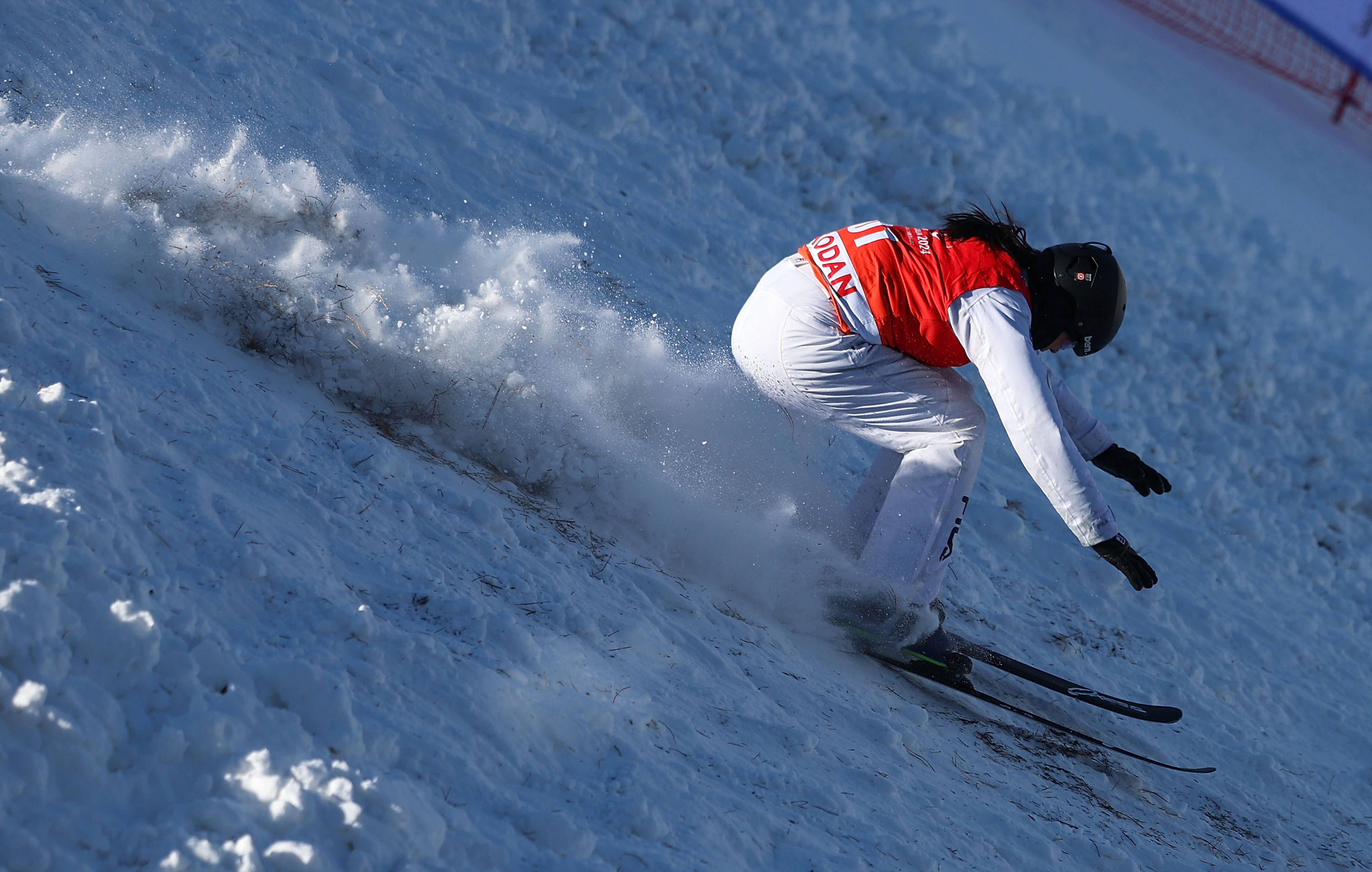 意大利选手在自由式滑雪赛上表现出色的简单介绍