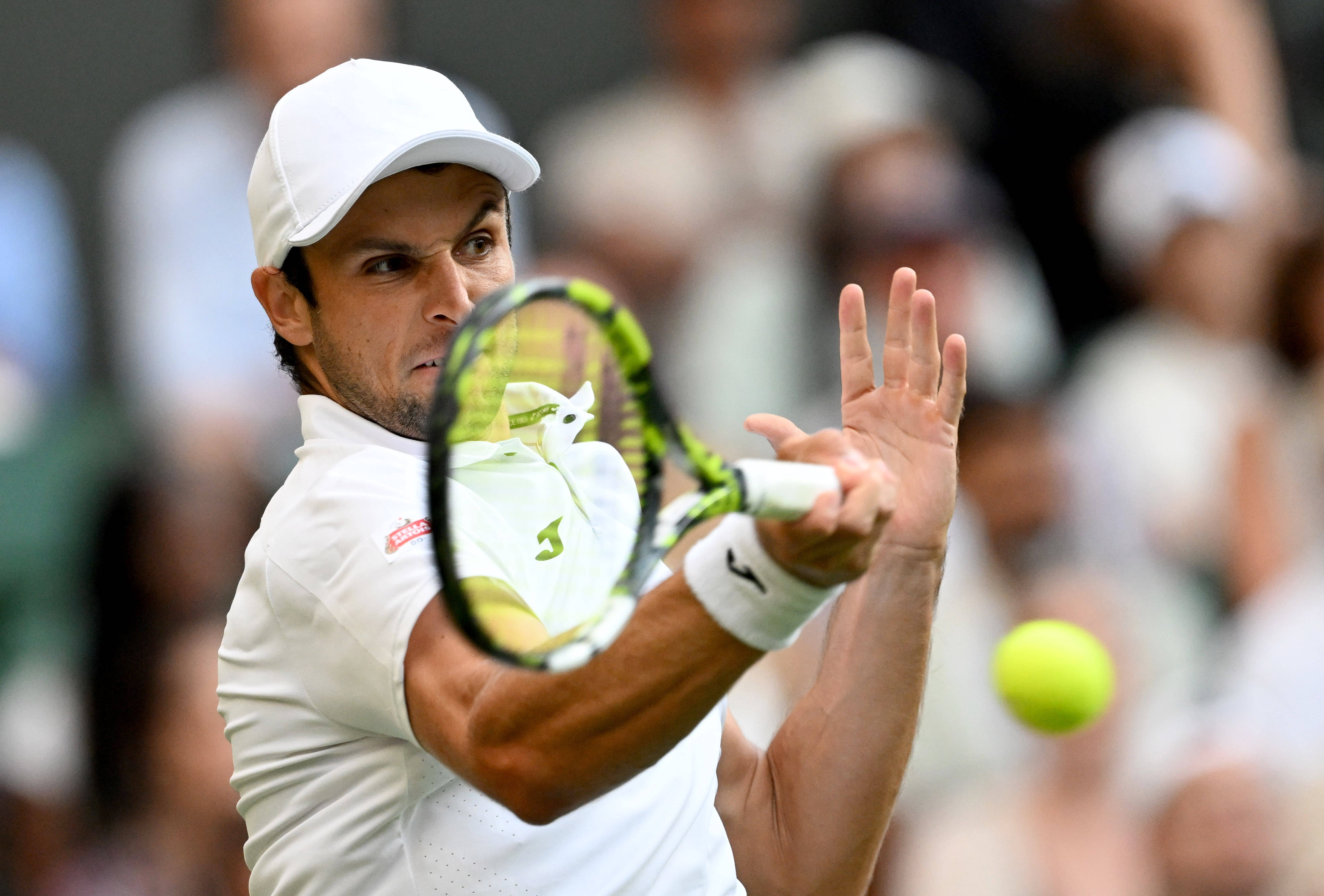 温网轻取美网，辛纳刷新纪录